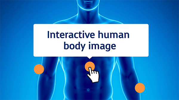 Interactive human body image
